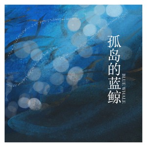孤岛的蓝鲸