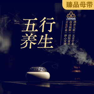 丽声文化传媒 - 五行养生｜《扉》属土（宫）宫音入脾丨净化安神