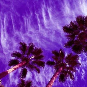 Way 2 High (feat. KD, Navy, Adhnok & SOMADINA) (Explicit)