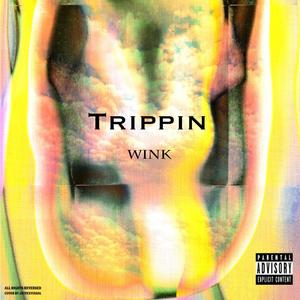 Trippin' (Explicit)
