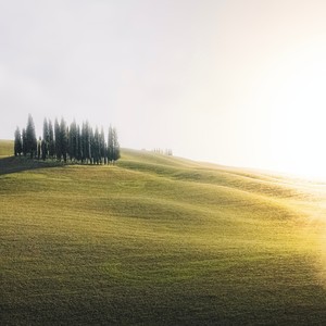 Invitación de Gracia