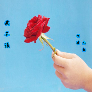 我不该 (伴奏)