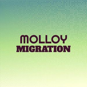 Molloy Migration