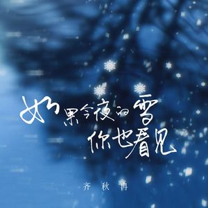 如果今夜的雪你也看见