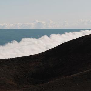 Jeremiah(feat. Shawn Halim & Delia Li)