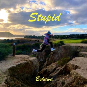 Stupid (Explicit)