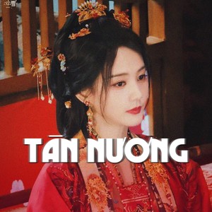 Tân Nương (Remix|- Beat)