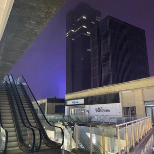 不该用情