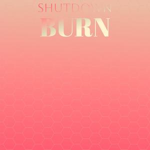 Shutdown Burn