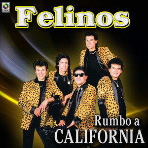 Felinos - Muchachita De Mi Pueblo