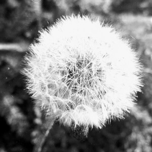 Привет, Мира