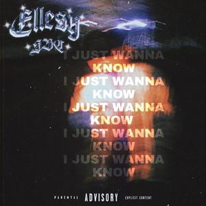I just wanna know (feat. Kid Benzo) (Explicit)