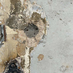 I Am All That is Left