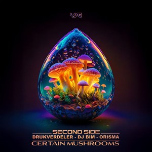 Requiem to a Dream (Second Side Remix)