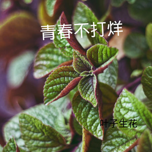 青花瓷