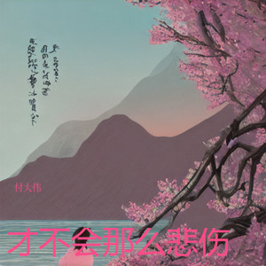 才不会那么悲伤封面