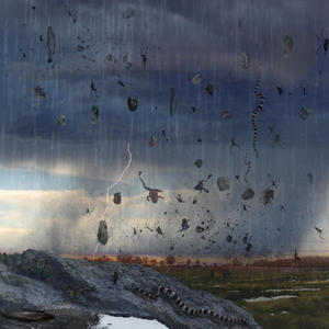 The place where lost minds go  (feat. Martin Barre) (pure version)