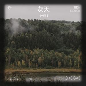 灰天封面