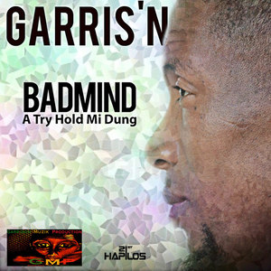 Badmind a Try Hold Mi Dung - Single