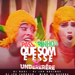 PASSARINHO QUE SOM É ESSE X UNDERÊRE (Explicit)