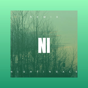 Nightingale (Remix)