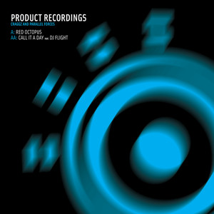 Call It A Day feat. DJ Flight