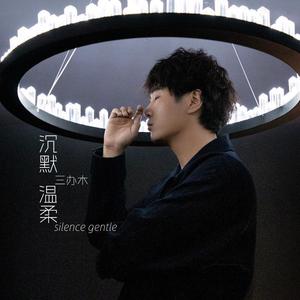 沉默温柔 (和声伴奏)