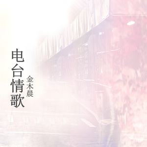 电台情歌 (伴奏)封面