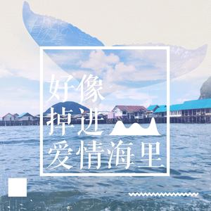 好像掉进爱情海里简谱_掉进爱情海里钢琴简谱