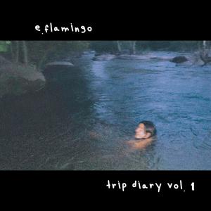 trip diary vol. 1 (Explicit)