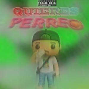 Tu quieres perreo
