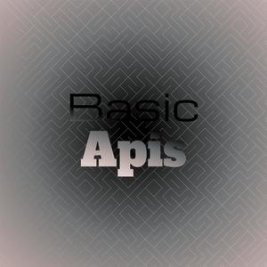 Basic Apis