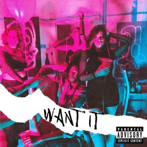 Want It (Explicit)
