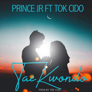 TAEKWONDO (feat. TOK CIDO)