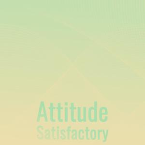 Attitude Satisfactory