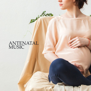 Antenatal Music: Relaxing Collection of 15 Songs to Relax and Relieve Stress before a Baby is Born