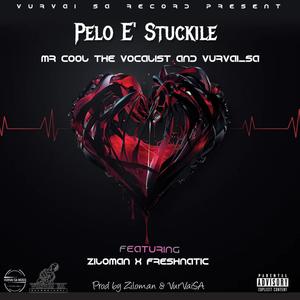 Pelo E' Stuckile (feat. VurVai_SA, Ziloman & Freshnatic)