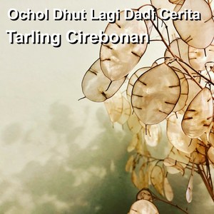 Ochol Dhut Lagi Dadi Cerita