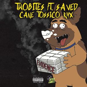 Cane Tossico (feat. SaV3D) [Explicit]