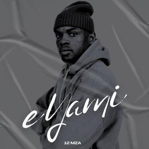 Nkosi (feat. Vicky Lay)