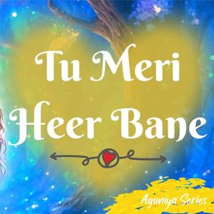 Tu Meri Heer Bane