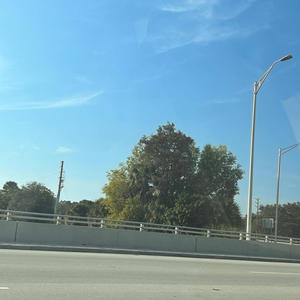 Sunshine/fake niggas