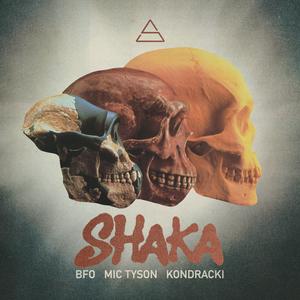 SHAKA (feat. BFO & Mic Tyson) [Explicit]