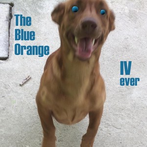 Lying on the Grass(feat. Peter Olsson)