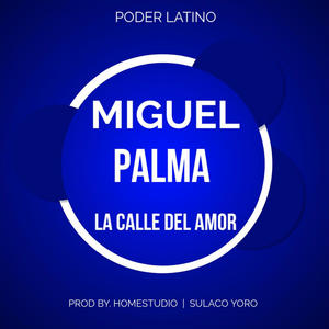 La Calle Del Amor (feat. Miguel Palma & Poder Latino)