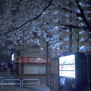 osaka (Explicit)