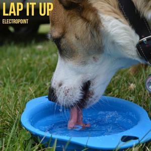 Lap it Up (Explicit)