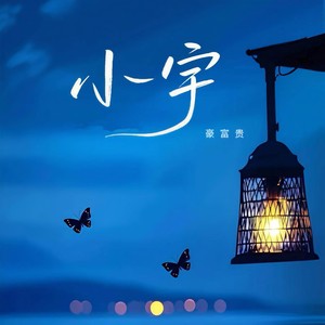 小宇 (总有些惊奇的际遇)-豪富贵