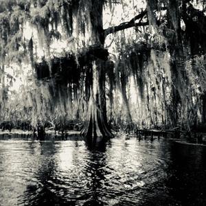 where's the good knife?