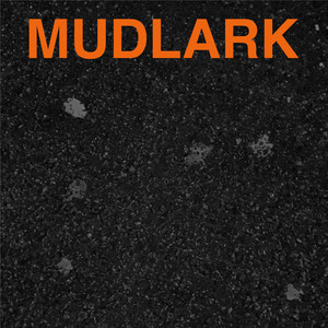 Mudlark